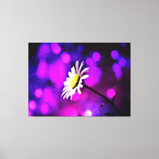 Rosa N Ametyst Daisy Wrapped Canvas (Framsida)