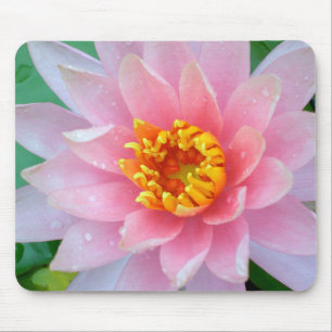 Rosa näckros Mousepad Musmatta