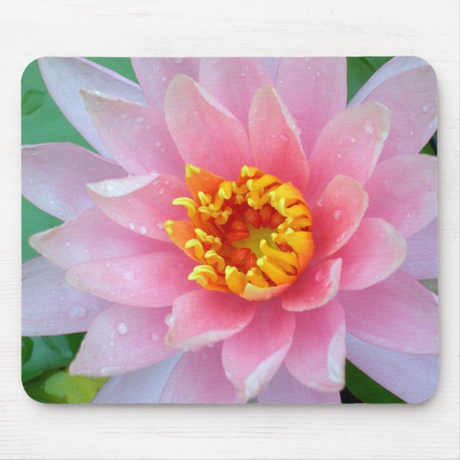 Rosa näckros Mousepad Musmatta (Framsidan)