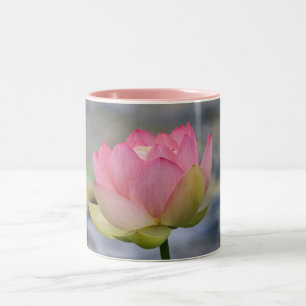 Rosa näckros Två-Tonad mugg