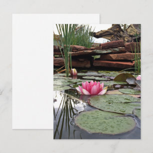 Rosa näckroser reflektioner fotografi vykort