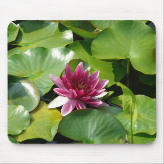 Rosa näckrosmousepad musmatta