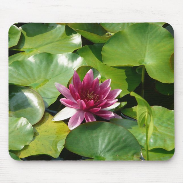 Rosa näckrosmousepad musmatta (Framsidan)