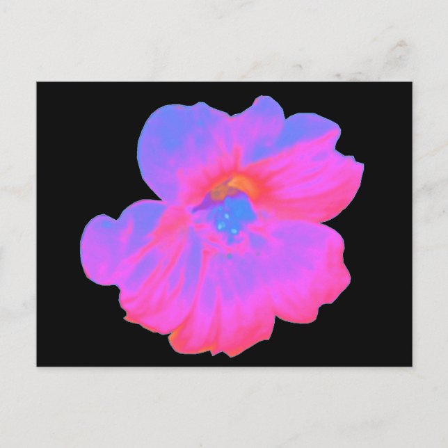 Rosa Nasturtium-vykort Vykort (Framsida)