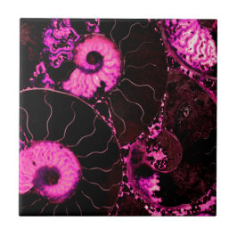 Rosa Nautilus fossil snäcka mönster Kakelplatta