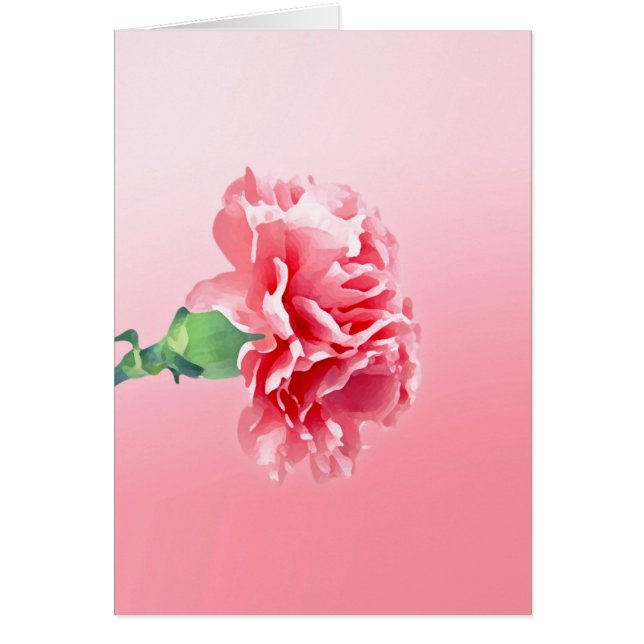 Rosa nejlika OBS kort (Framsidan)