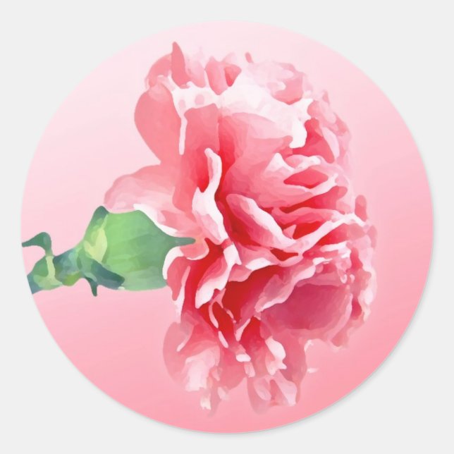 Rosa nejlika runt klistermärke (Framsida)