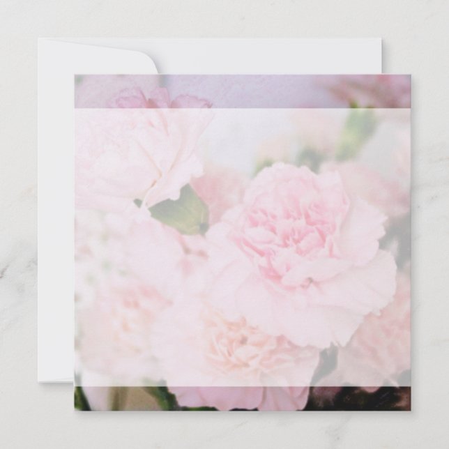 rosa nejlikblommor alla party-blankinbjudningar inbjudningar (Framsida)