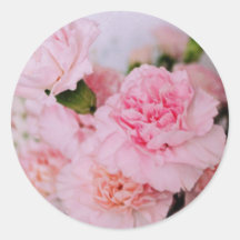 rosa nejlikor blommor vintage stil fotografering
