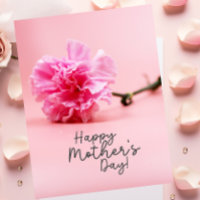 Rosa nejlikor till mamma på mors dag