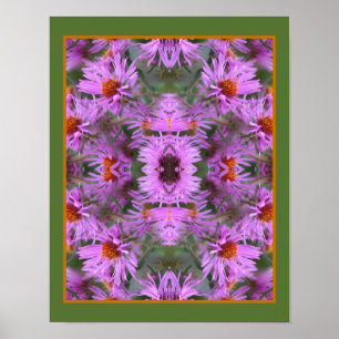 Rosa New England Aster Flowers Abstrakt Poster