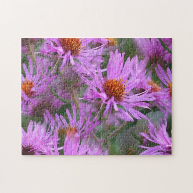 Rosa New England Asters Flower Art Pussel (Horisontell)