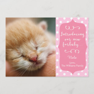 Rosa New Furbaby Announcement Meddelande