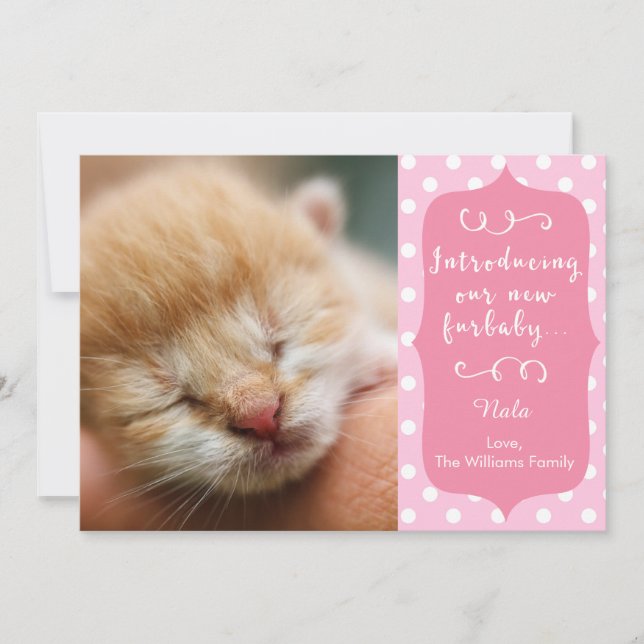 Rosa New Furbaby Announcement Meddelande (Framsida)