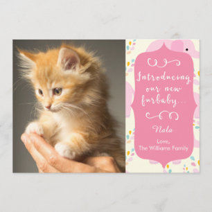Rosa New Furbaby Announcement Meddelande