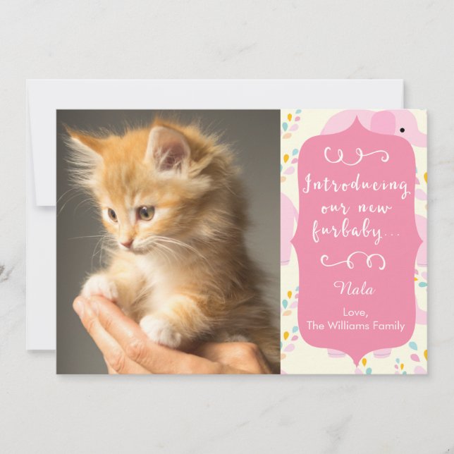 Rosa New Furbaby Announcement Meddelande (Framsida)