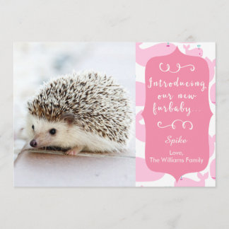 Rosa New Furbaby Announcement Meddelande