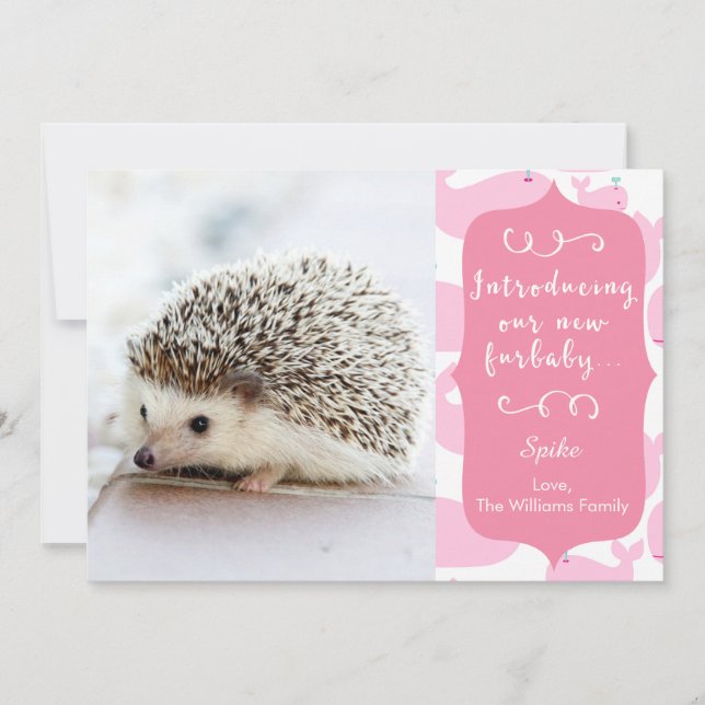 Rosa New Furbaby Announcement Meddelande (Framsida)