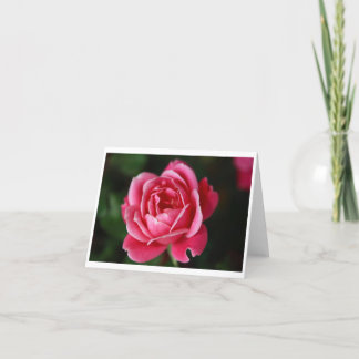 Rosa Notecard Kort