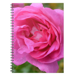 Rosa November rosa anteckningsbok