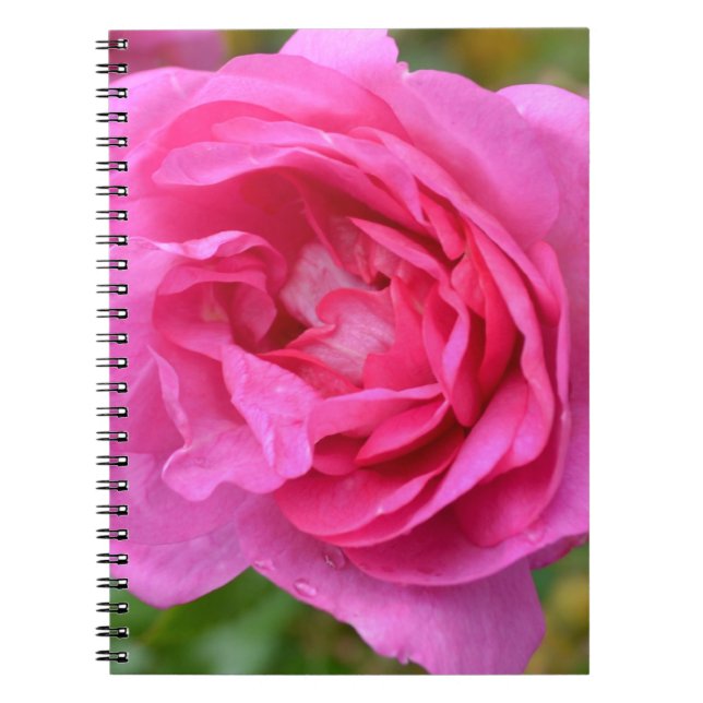 Rosa November rosa anteckningsbok (Framsidan)