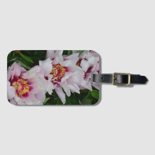 Rosa och blommor av vita päronblommor bagagebricka