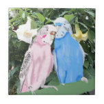 Rosa- och Blue Kissing Budgies och Angel Trumpets Kakelplatta<br><div class="desc">Den här vackra keramiska plattan har min porträtt av två färgstarka kyssande budgier mot en droppe vita Angel Trumpet-blommor. En underbar gåva och idealisk för att göra kaffet bord rikare.</div>