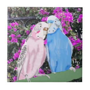 Rosa och Blue Kissing Budgies och Bougainvillea Kakelplatta