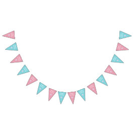 Rosa och Blue Twillingars Boy and Girl Födelsedags Vimplar