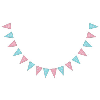 Rosa och Blue Twillingars Boy and Girl Födelsedags Vimplar