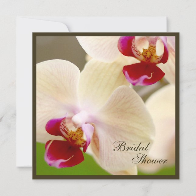 Rosa och Cream Orchid Möhippa Square Inbjudningar (Framsida)