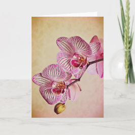 Rosa- och Cream Orchids Art Note Card Kort