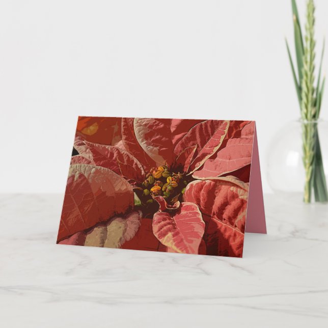 Rosa och Cream Poinsettias Helgkort (Framsida)