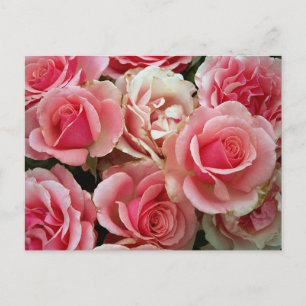 Rosa och Cream Rosor Bouquet Blommigt Flowers Vykort
