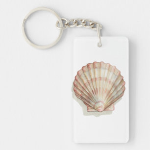 Rosa och Cream Seashell