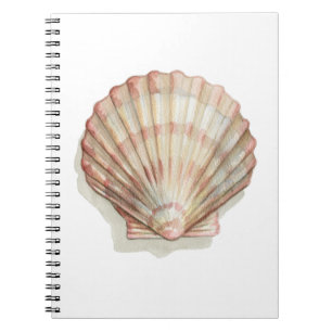 Rosa och Cream Seashell Anteckningsbok Med Spiral