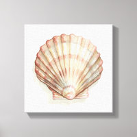 Rosa och Cream Seashell