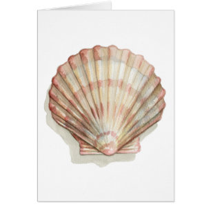 Rosa och Cream Seashell Hälsningskort