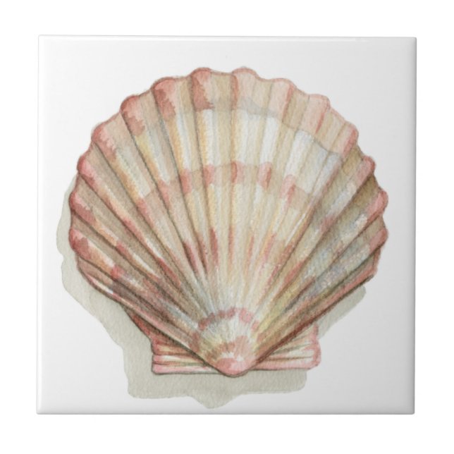 Rosa och Cream Seashell Kakelplatta (Framsidan)