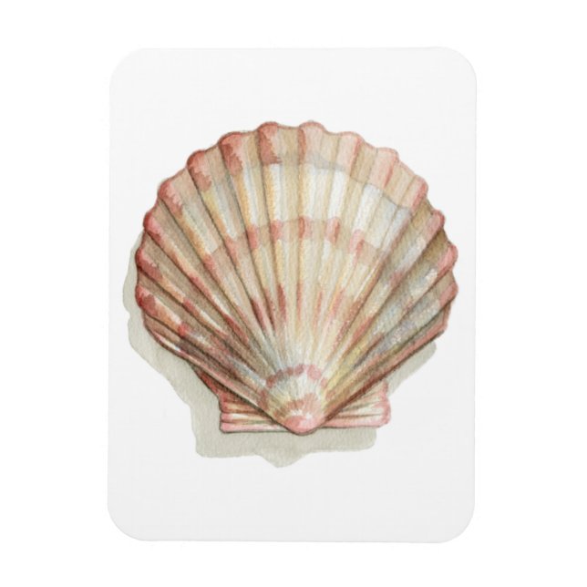 Rosa och Cream Seashell Magnet (Vertikal)