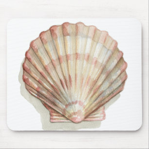 Rosa och Cream Seashell Musmatta