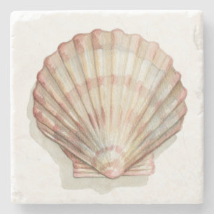 Rosa och Cream Seashell Stenunderlägg