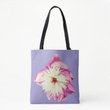 Rosa och gräddblommor