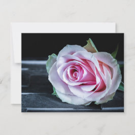 Rosa och gröna rosor inbjudningar