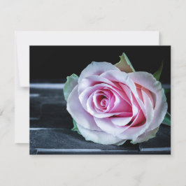 Rosa och gröna rosor inbjudningar