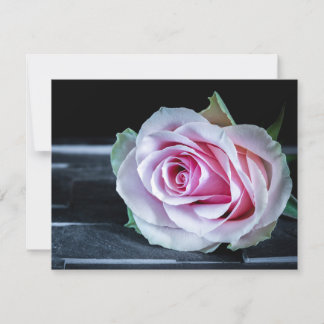 Rosa och gröna rosor inbjudningar