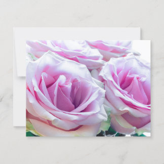 Rosa och gröna rosor inbjudningar