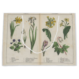 Rosa och Grönt Gift Bag för Antique Wildblomma