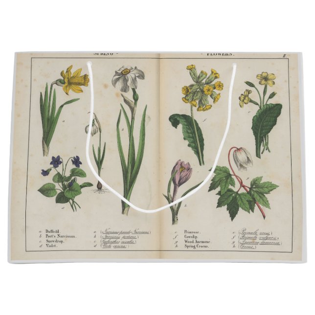 Rosa och Grönt Gift Bag för Antique Wildblomma (Framsidan)