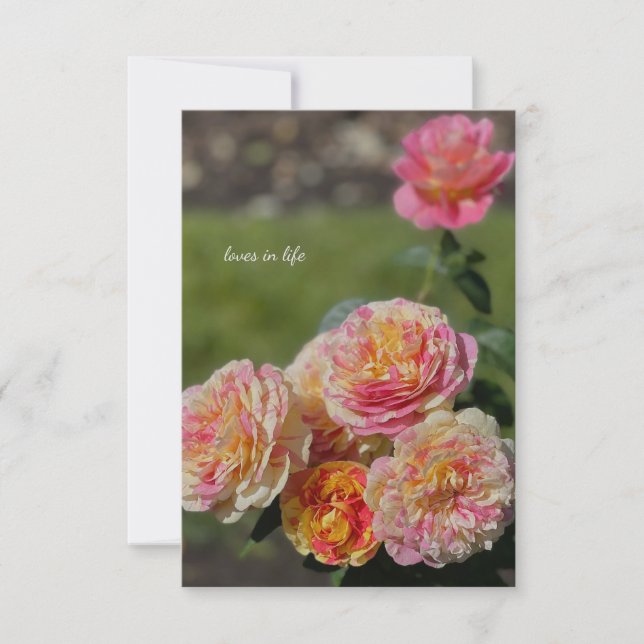 Rosa och Gul ros i flera Färg Anteckningskort (Framsida)
